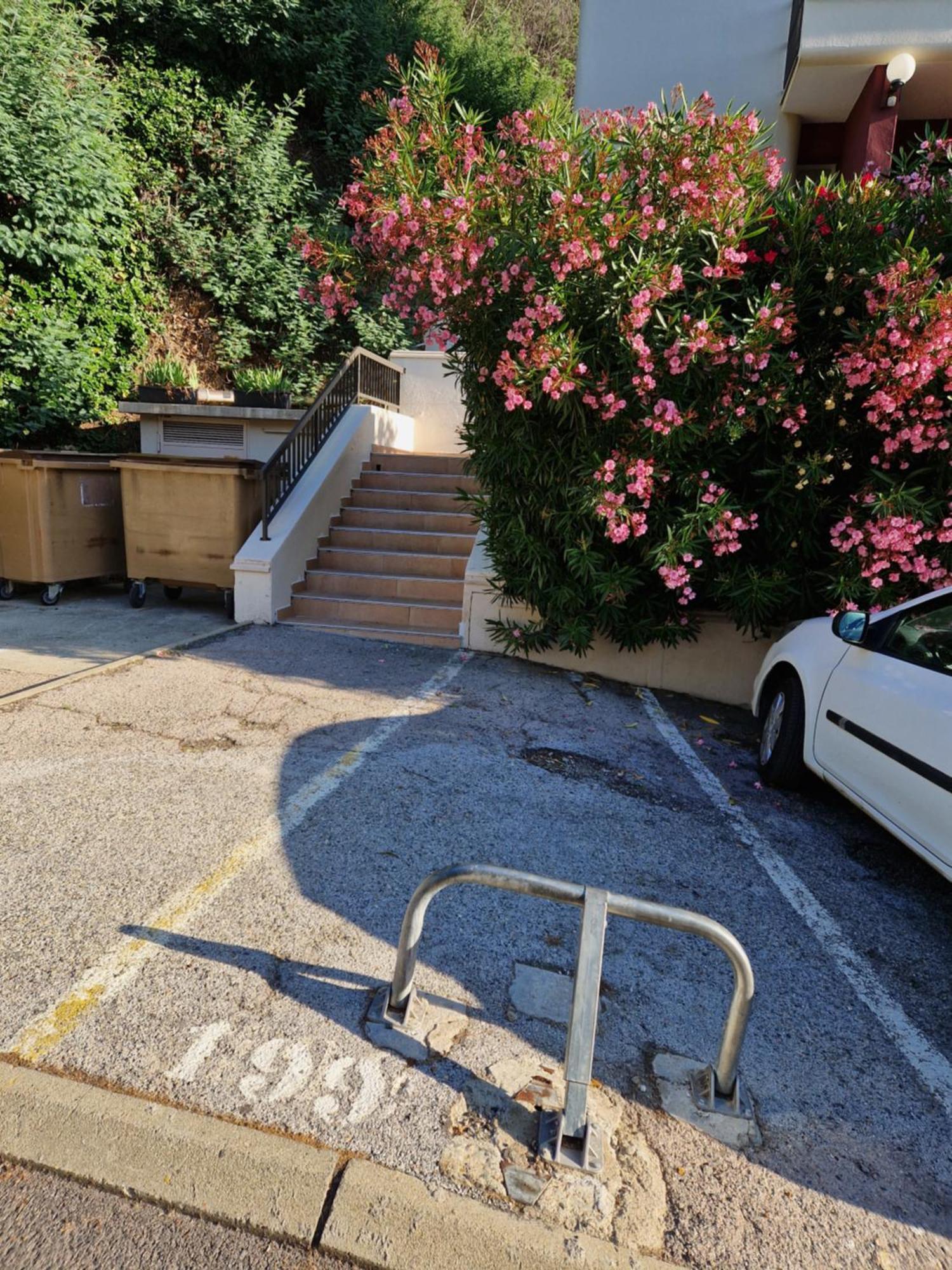 Appartement Amelie Les Bains Au Pied Des Thermes Eksteriør bilde